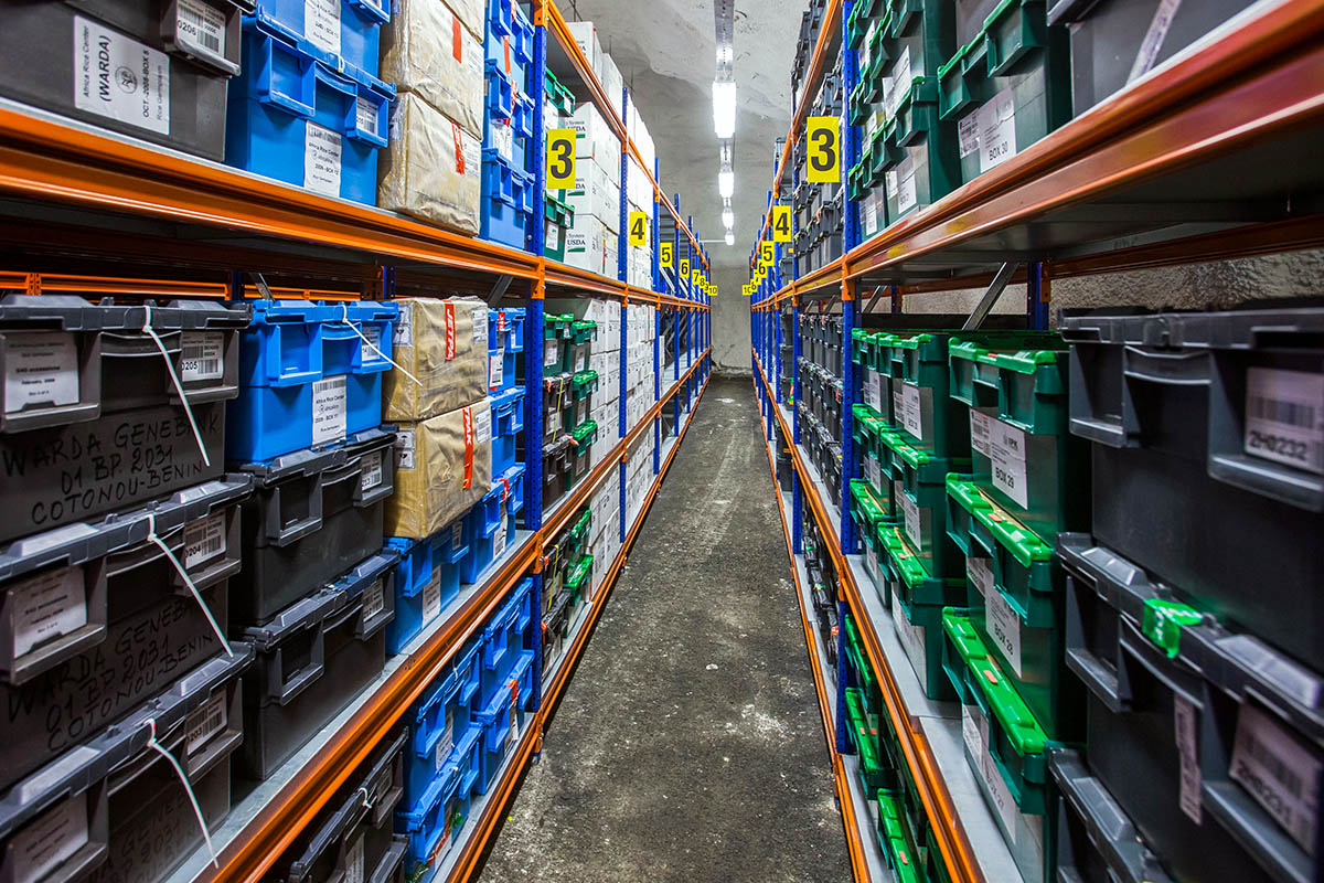 Kunststoffboxen in der Svalbard Global Seed Vault 