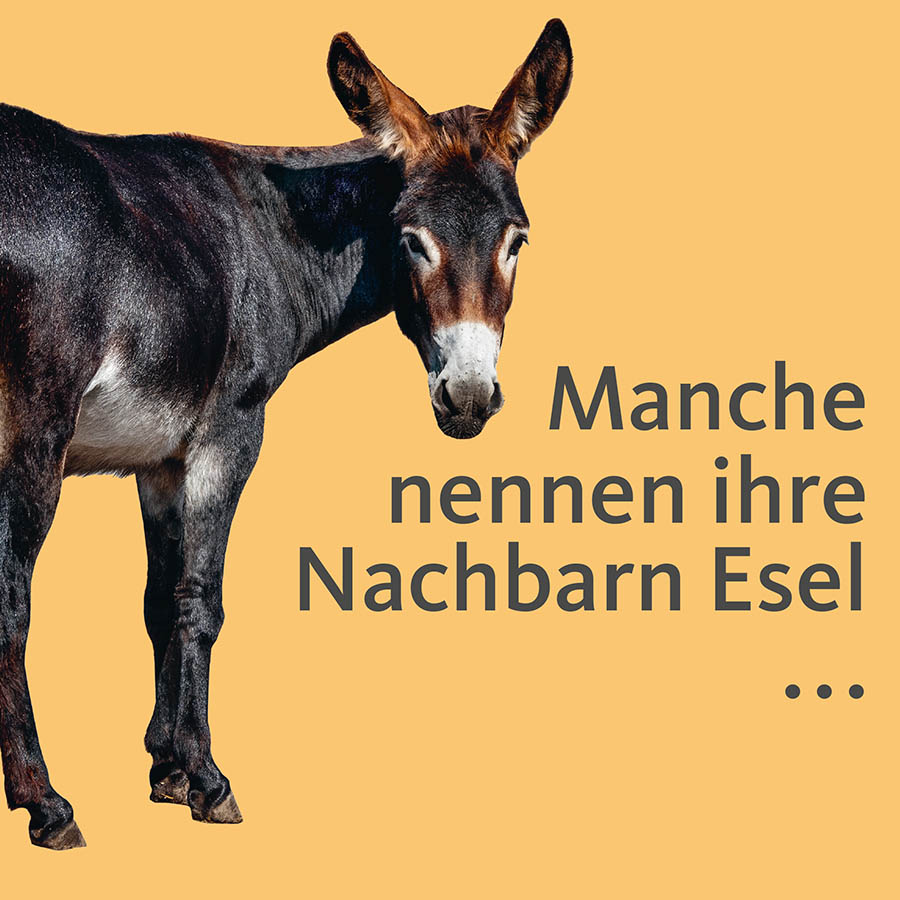 Esel blickt in die Kamera; Text im Bild: Manche nennen ihre Nachbarn Esel...