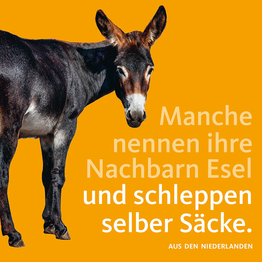 Esel blickt in die Kamera; Text im Bild: und schleppen selber die Säcke.
