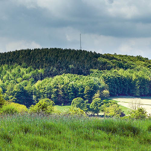 Bewaldeter Hügel mit Mast am Gipfel