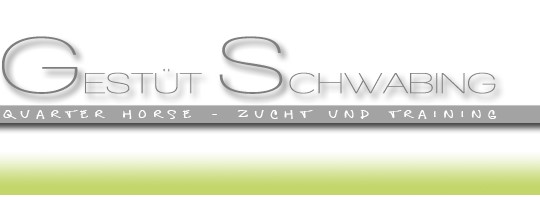 Gestüt Schwabing Quarter Horse - Zucht und Training