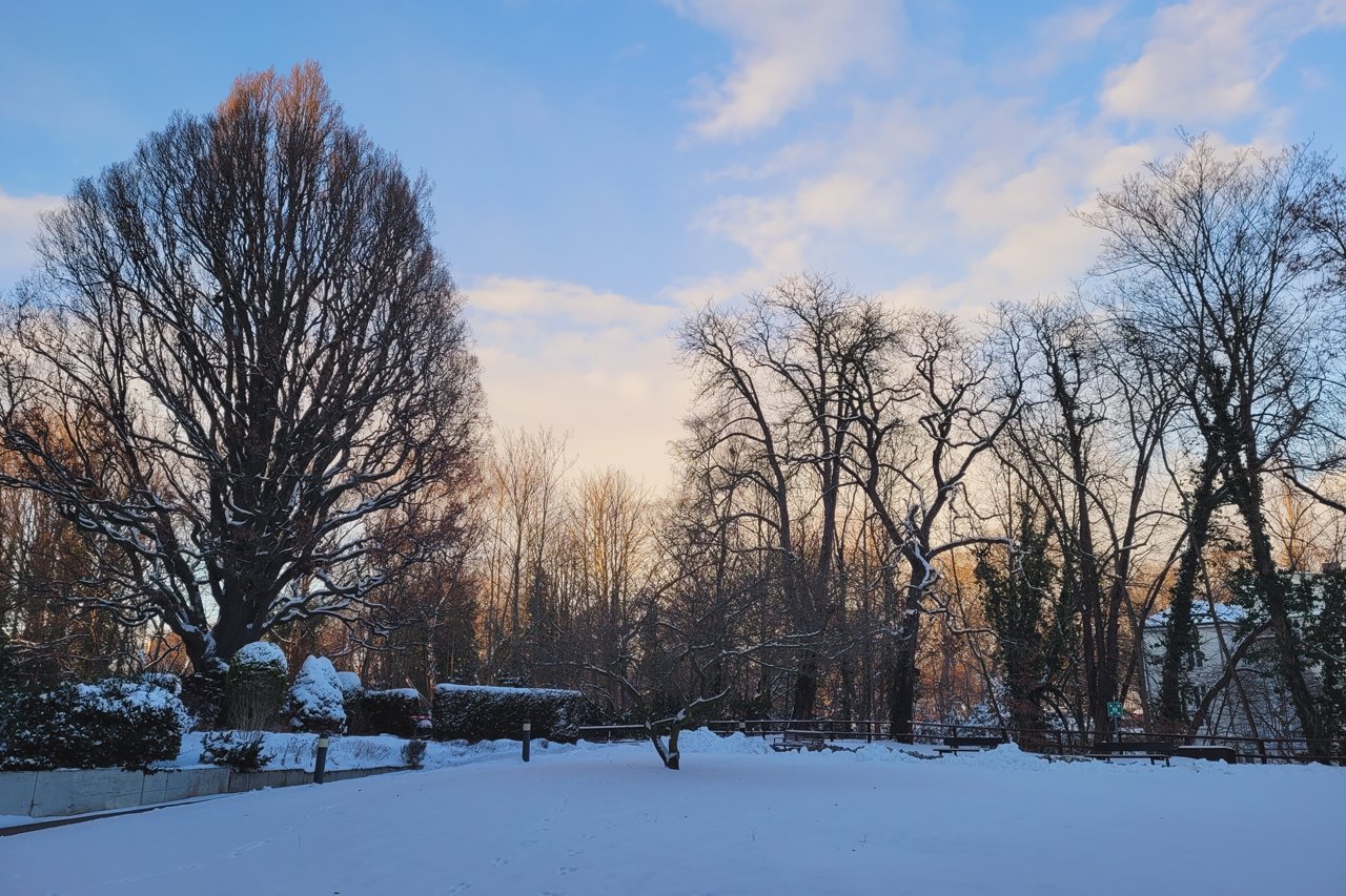 Der Park des Augustinum mit Schnee bedeckt 