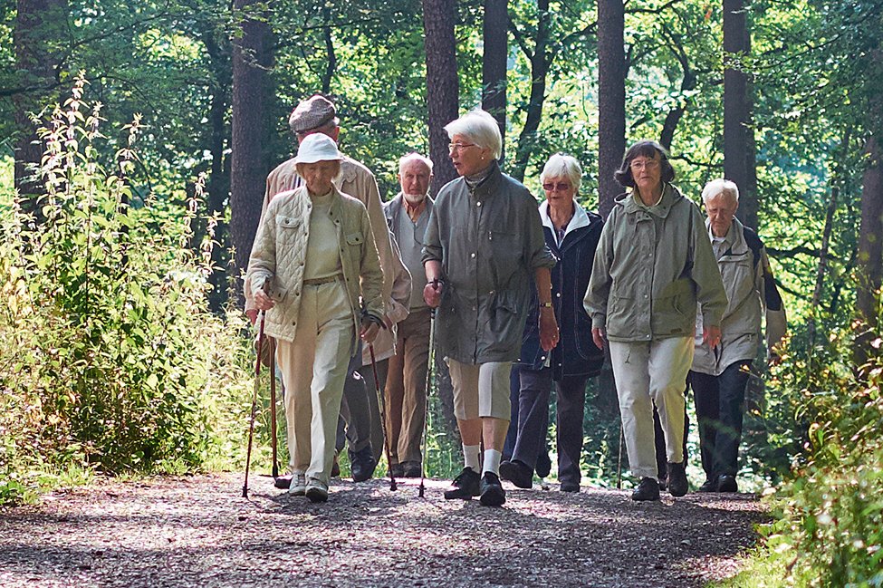 Wandergruppe im Wald