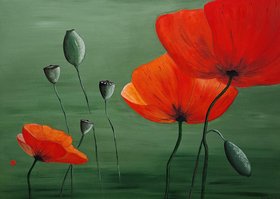 Bild einer Mohnblume