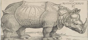 ein gezeichnetes Nashorn 