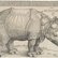 ein gezeichnetes Nashorn 