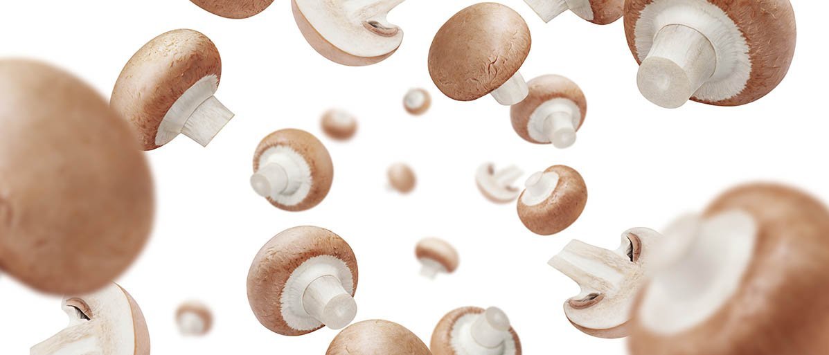 Fliegende Champignons