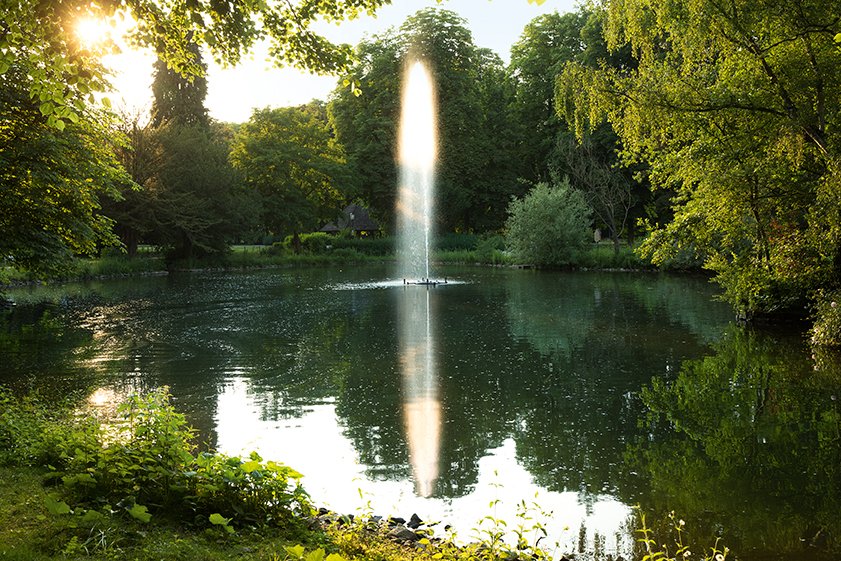 In der hauseigenen Gartenanlage beginnen Spazier- und Wanderwege, die in die umgebenden öffentlichen Parks sowie weiter ins Ahrtal und in die Innenstadt führen.. 