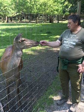 Ein Beschäftigter der Gärtnerei Hollern streichelt ein Tier im Wildpark