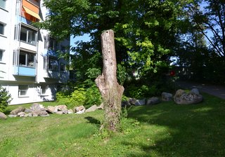 München-Neufriedenheim: Neues Zuhause auch für Vögel und Fledermäuse 