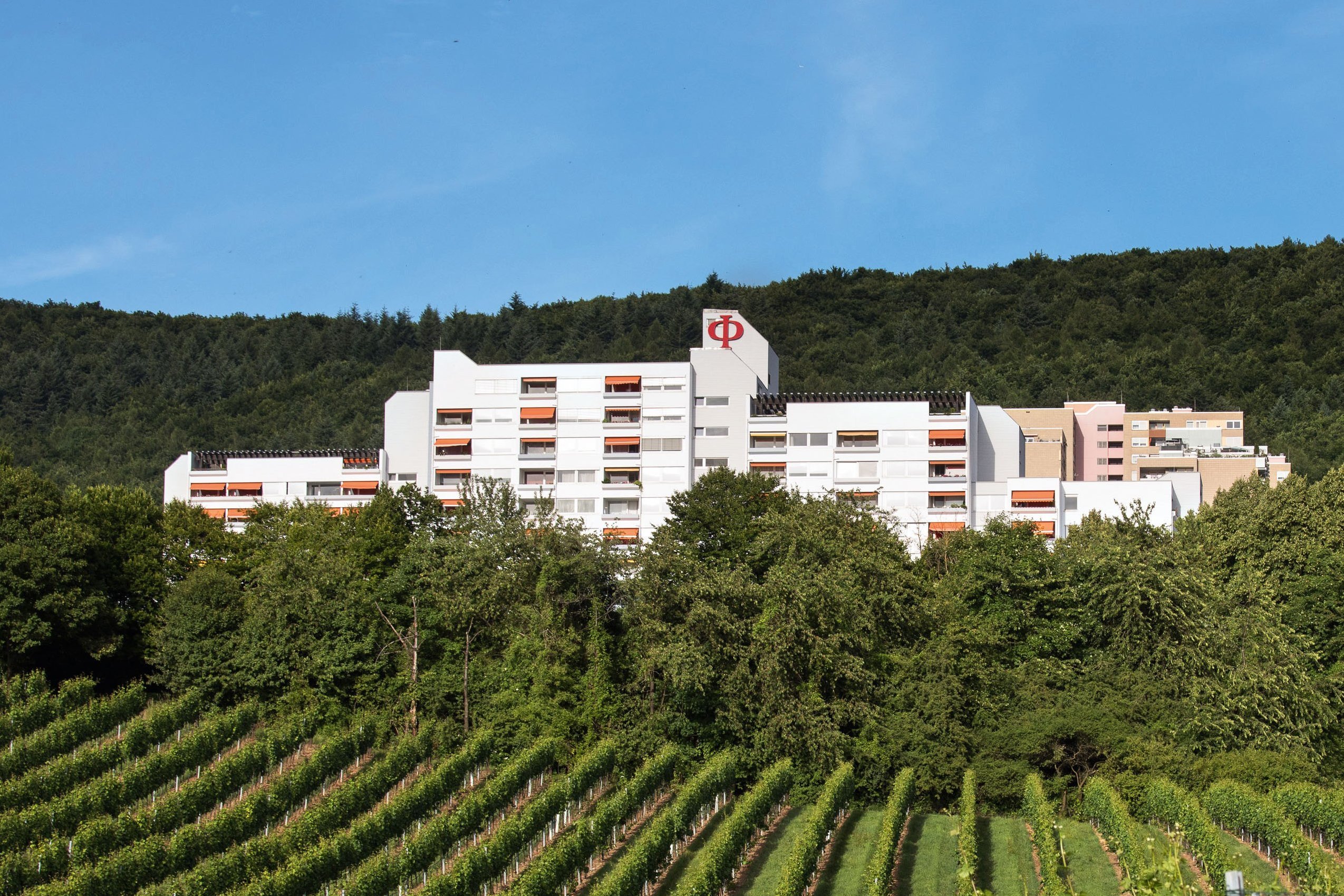 Bäume und Grünfläche vor dem Augustinum Heidelberg