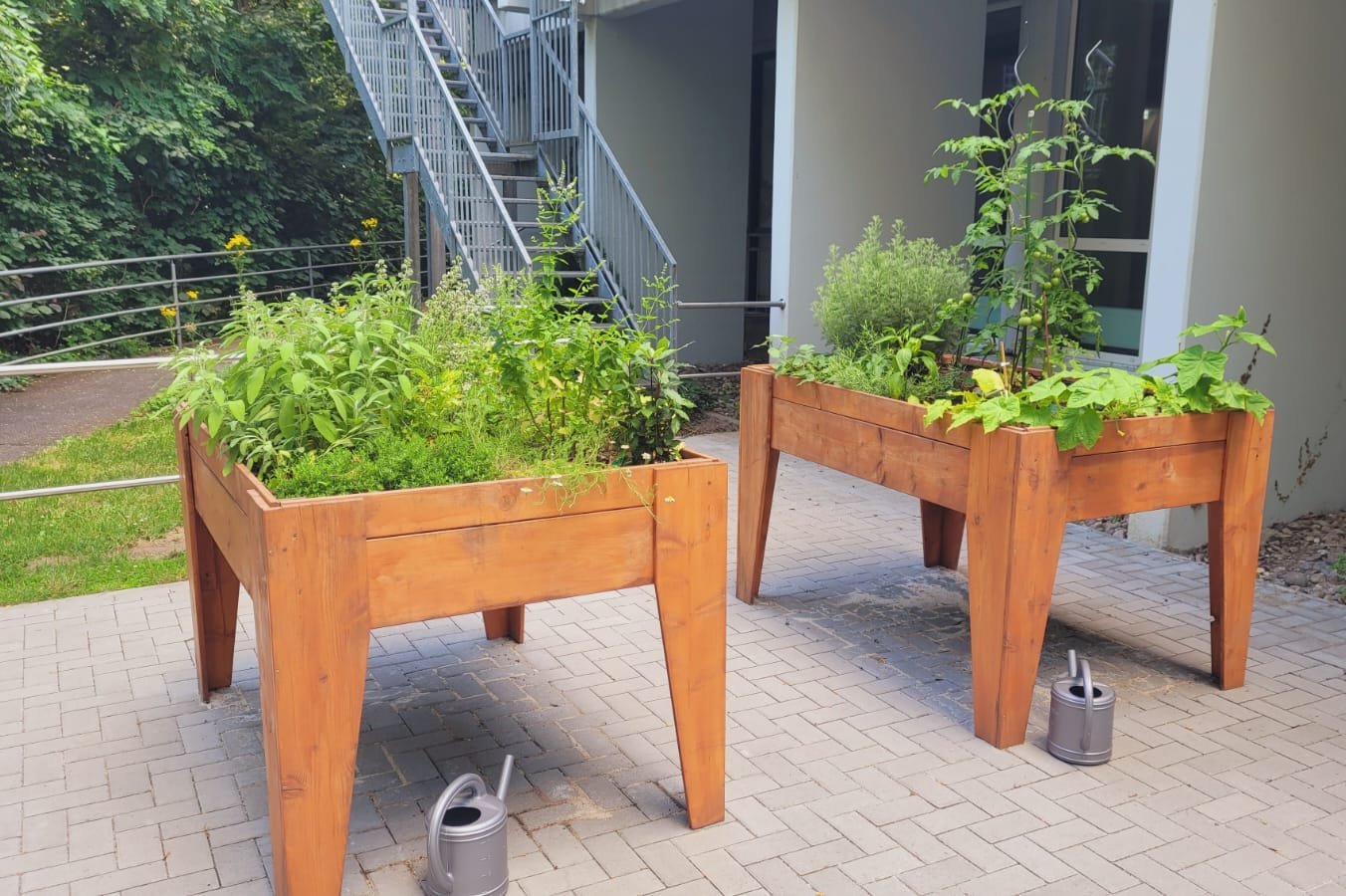 Gartenbereich mit Beeten 