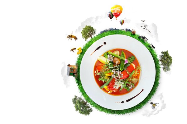 Fiktive Darstellung: Ein runder Teller mit buntem Gemüse und Kräutern stellt die Weltkugel dar, rundum wachsen Bäume, es schwebt ein Heißluftballon, Bienen und Vögel 