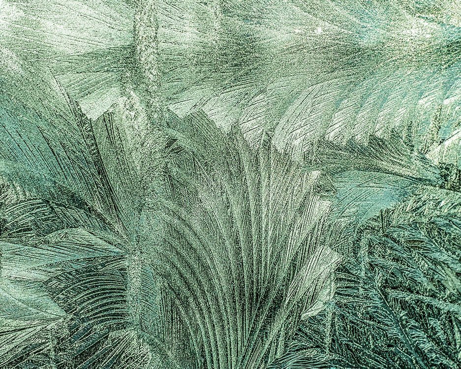 Eisblumen