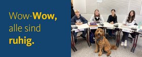 Vier Schülerinnen sitzen hinter ihren Schultischen. Im Vordergrund sitzt eine Schulhund, der Samuel-Heinicke-Realschule
