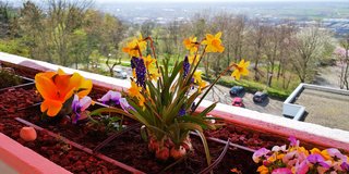 Mein Lieblingsort im Augustinum Heidelberg