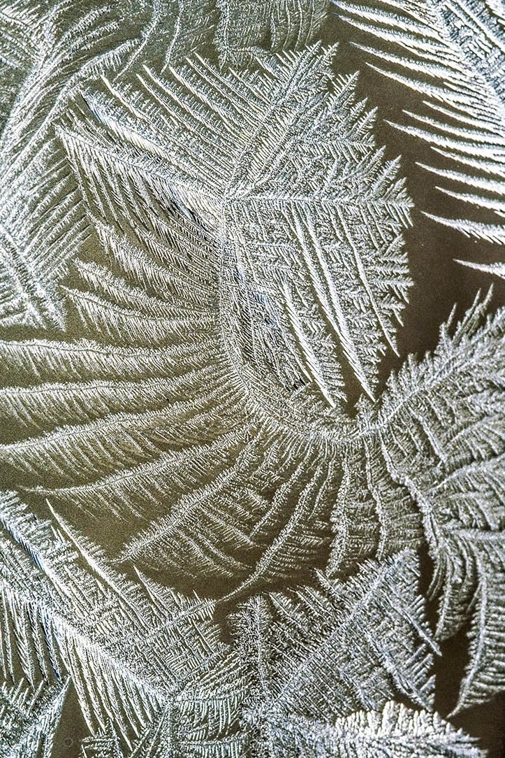 Eisblumen