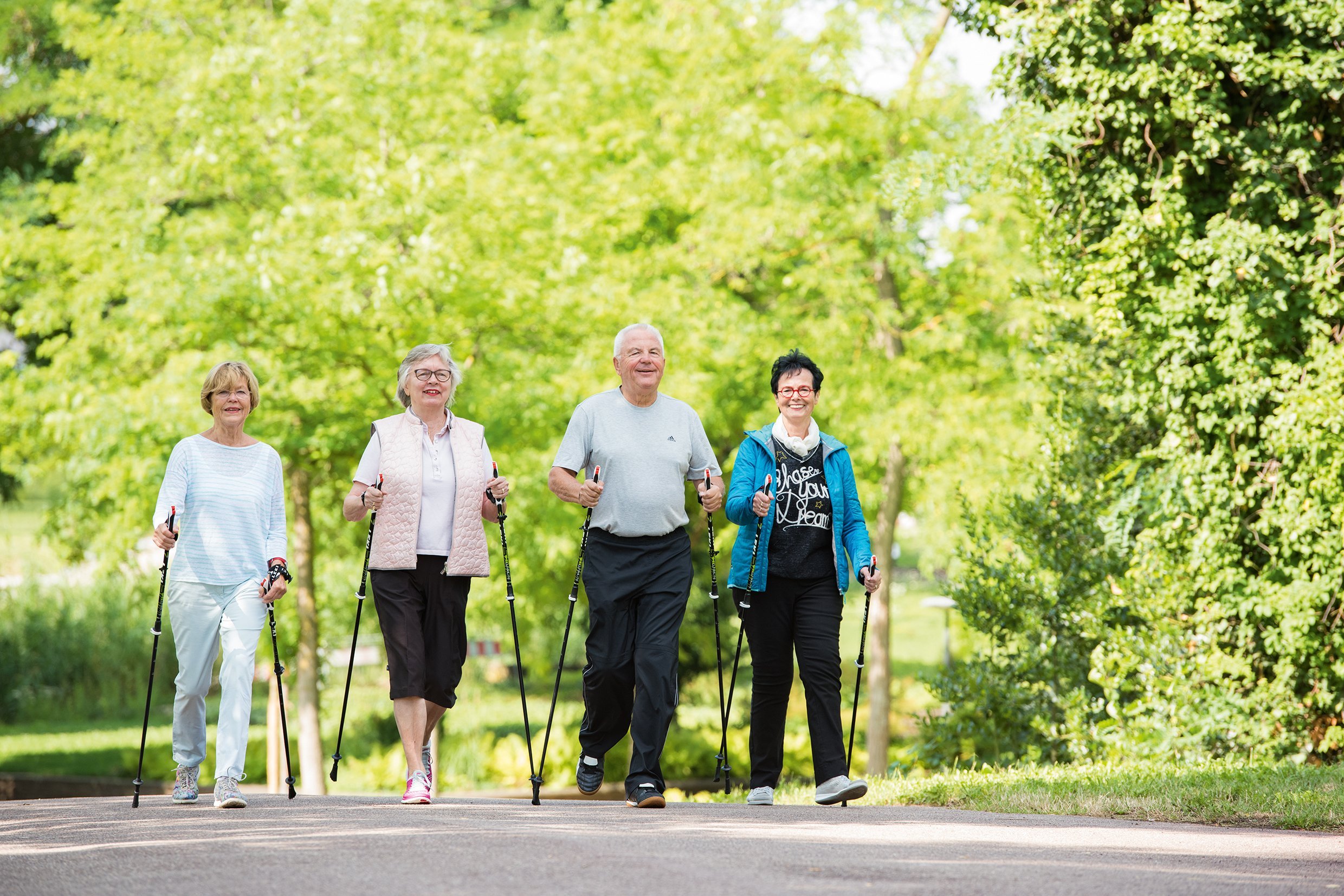 Vier Senior*innen wandern mit Wanderstöcken 