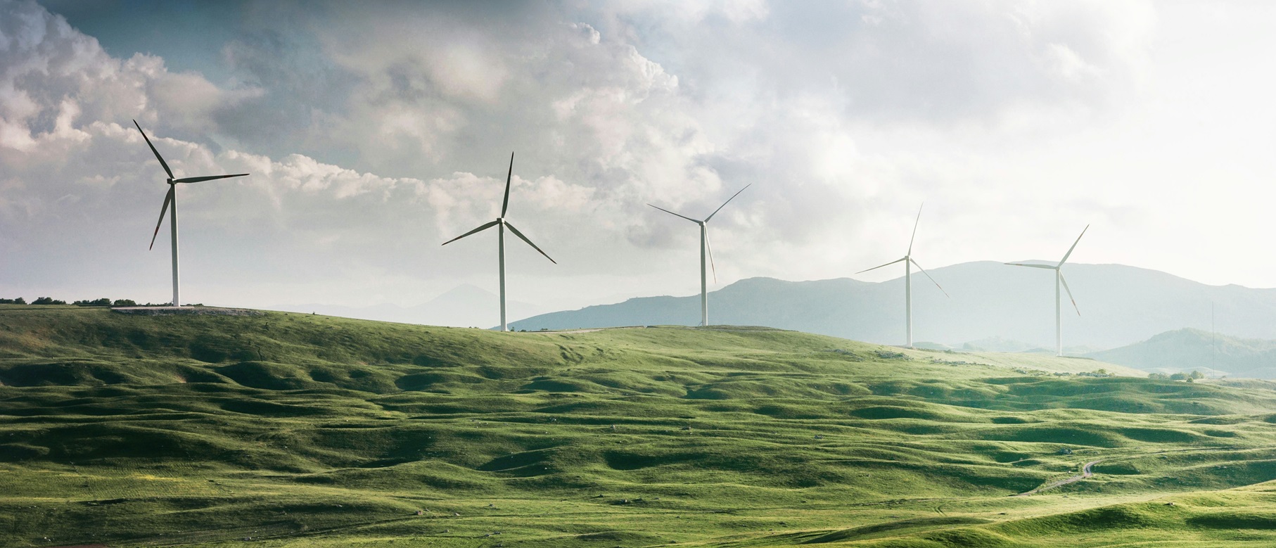 Fünf Windräder stehen auf einer hügeligen, grünen Ebene.